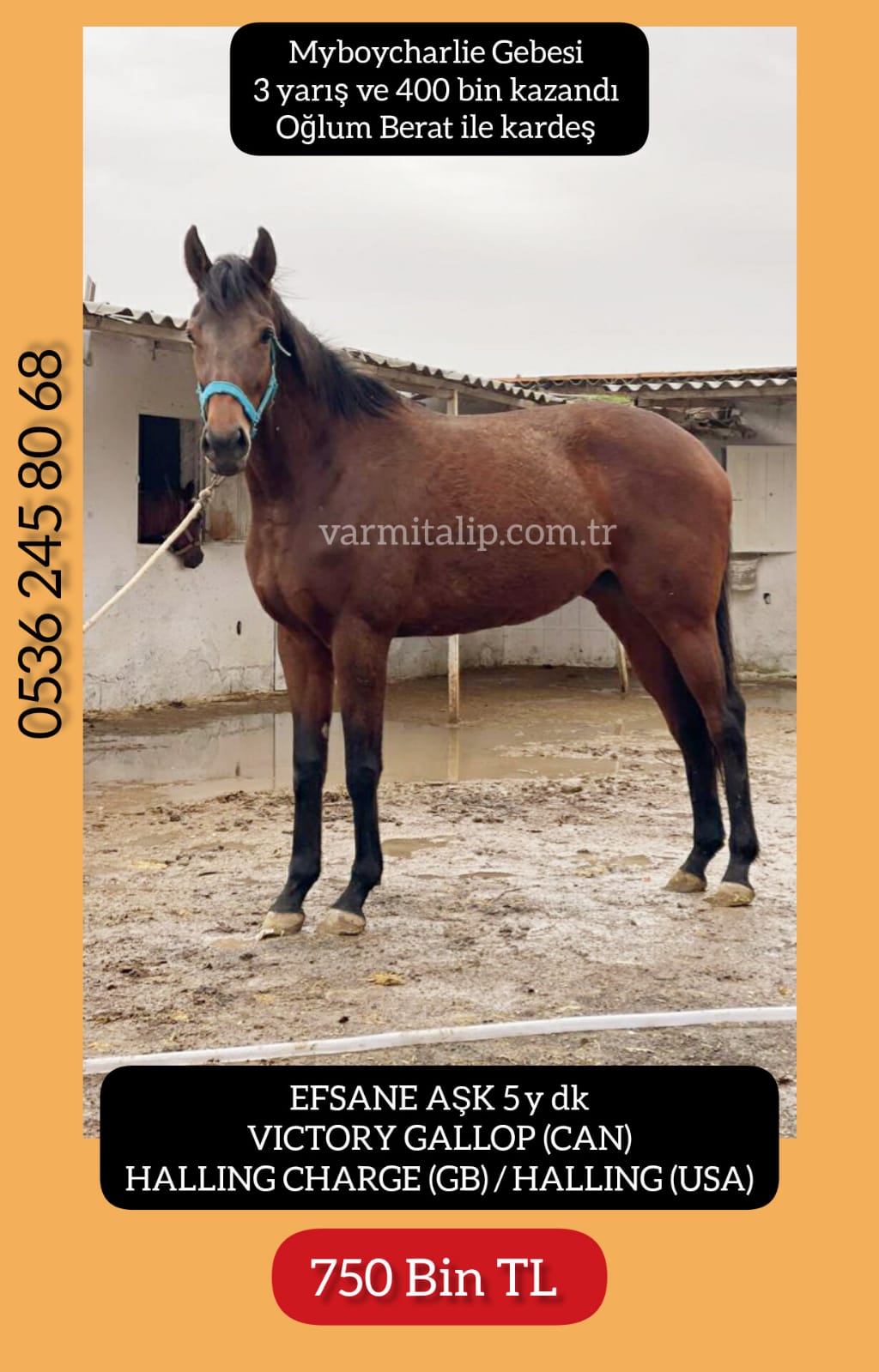 MYBOYCHARLIE GEBESİ KISRAK EFSANE AŞK(OĞLUM BERAT IN KARDEŞİ) 